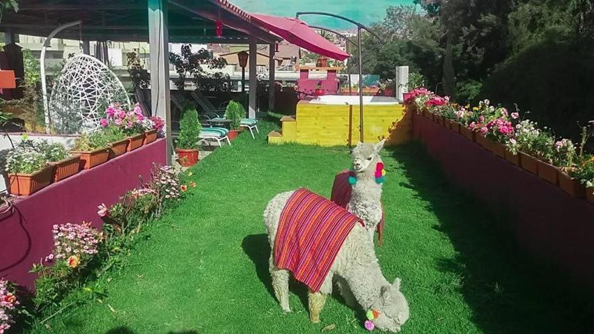 Gatsby Hotel Collection Arequipa Zewnętrze zdjęcie